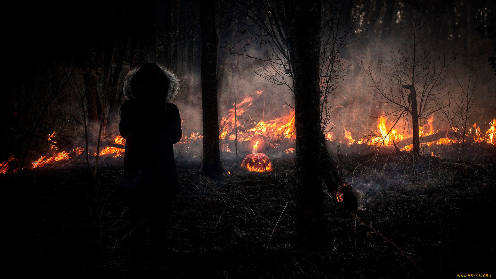 , , , halloween, , , 